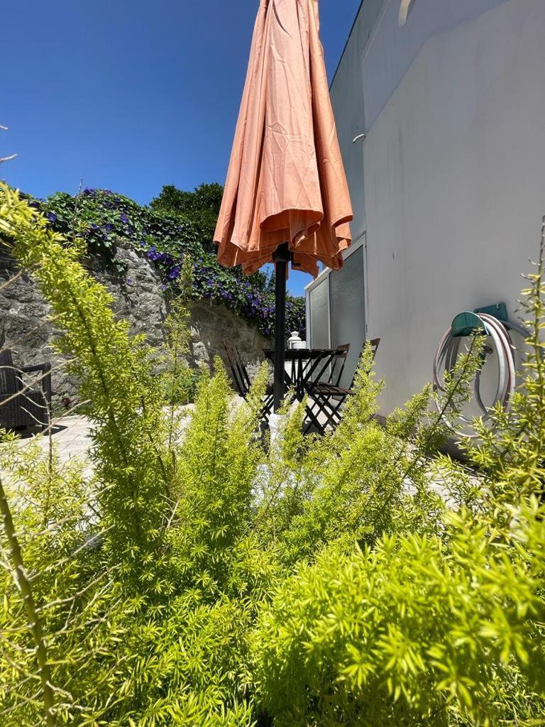 Burgaes II Apartment Porto Buitenkant foto